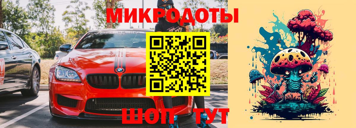 Галлюциногенные грибы Psilocybine cubensis Чебоксары