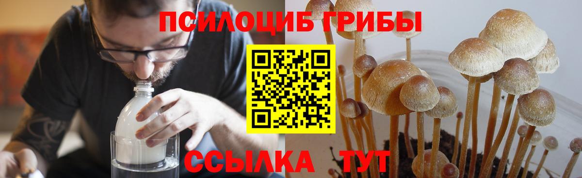 Псилоцибиновые грибы GOLDEN TEACHER  как найти   Чебоксары  Вход с VPN 